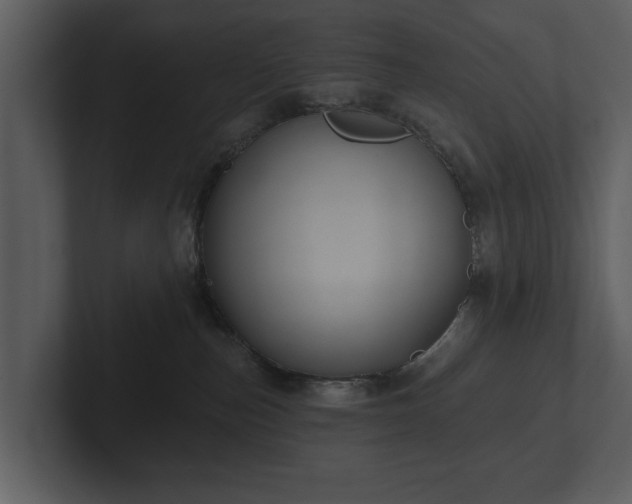 X0000103150187200808291437