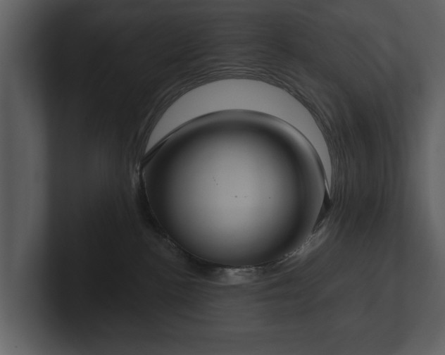 X0000103150188200808291437