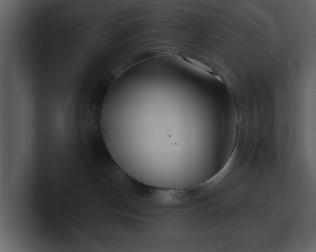 X0000103150190200808291437