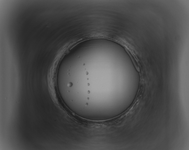 X0000103150193200808291437