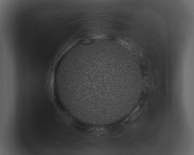 X0000103150194200808291437