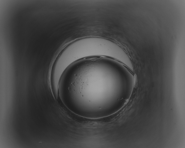 X0000103150195200808291437