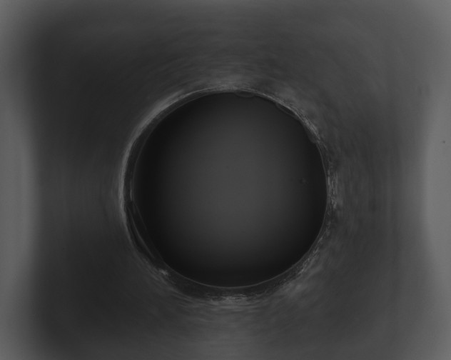 X0000103150196200808291437