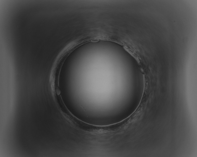 X0000103150197200808291437