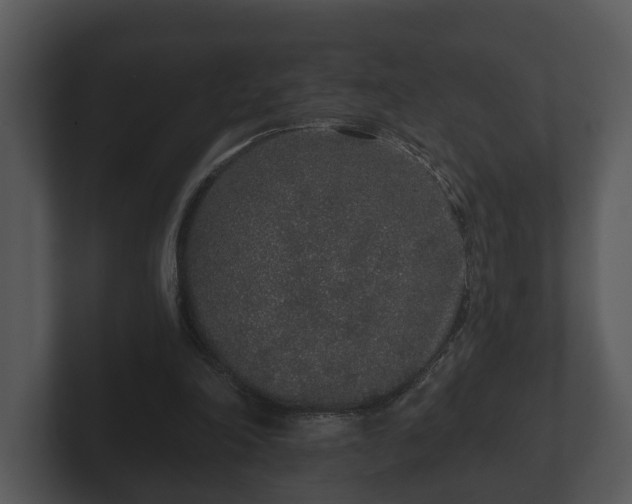 X0000103150198200808291436