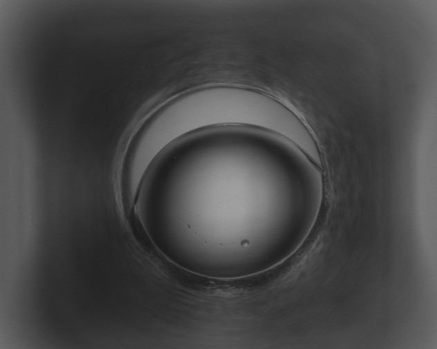 X0000103150199200808291436