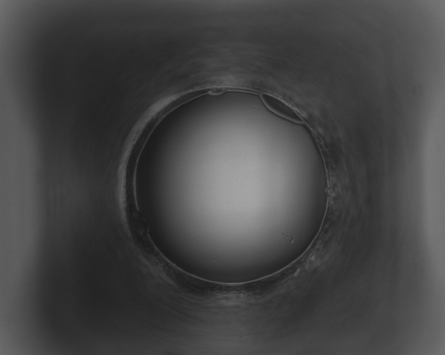 X0000103150200200808291436