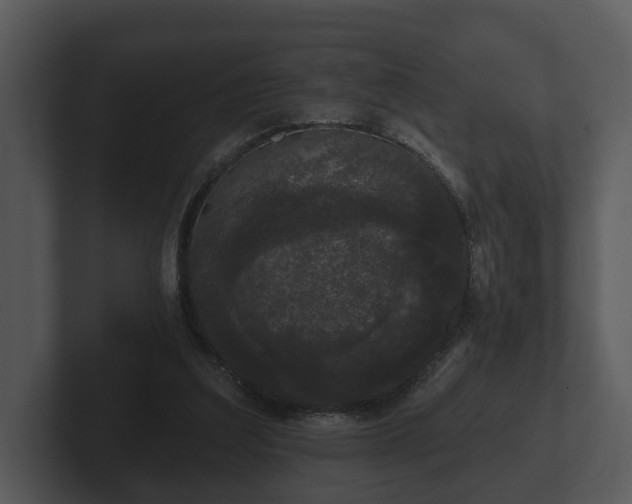 X0000103150203200808291436