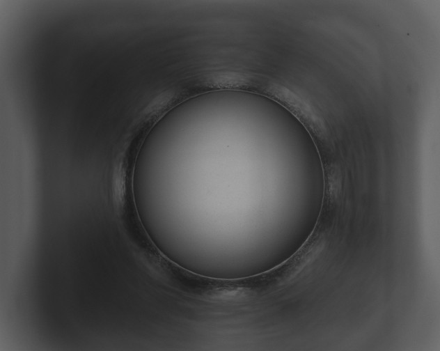 X0000103150206200808291436