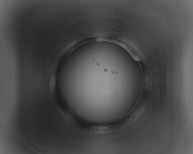 X0000103150208200808291436