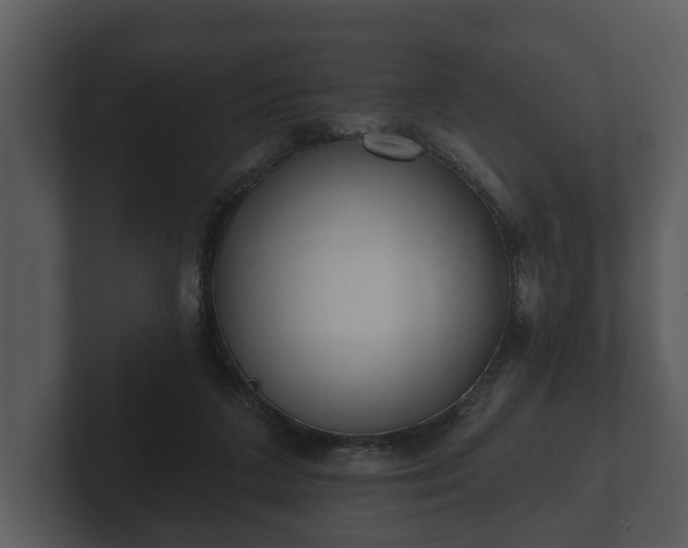 X0000103150211200808291436