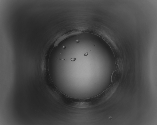 X0000103150212200808291436