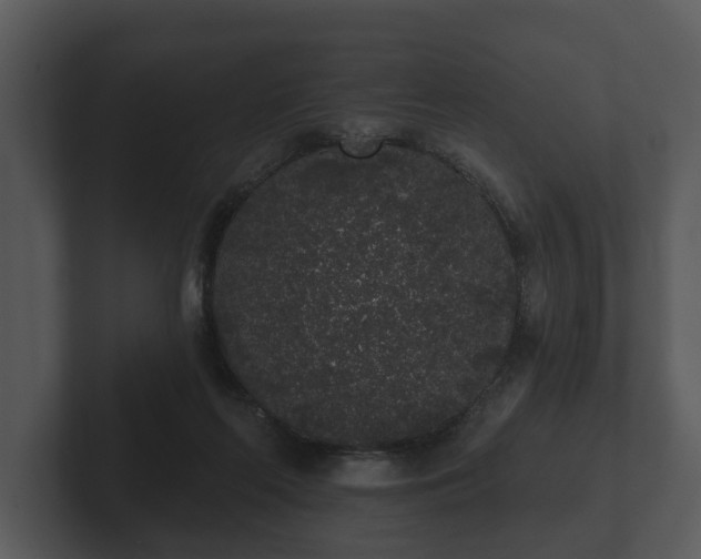 X0000103150214200808291436