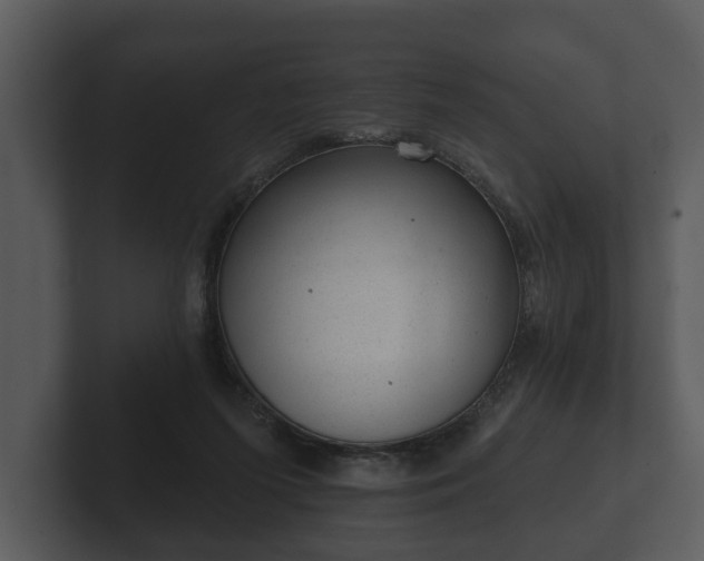 X0000103150215200808291436