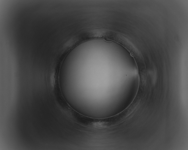 X0000103150216200808291436