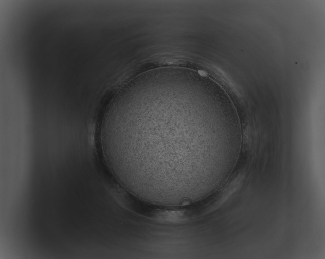 X0000103150217200808291436