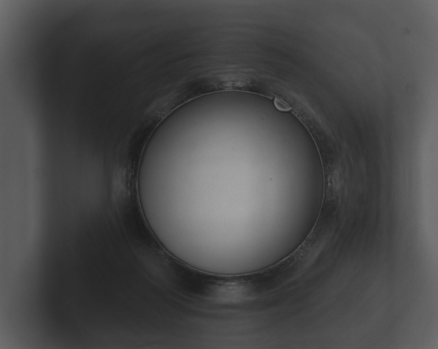 X0000103150218200808291436