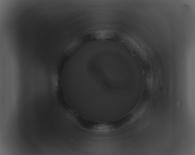 X0000103150219200808291436