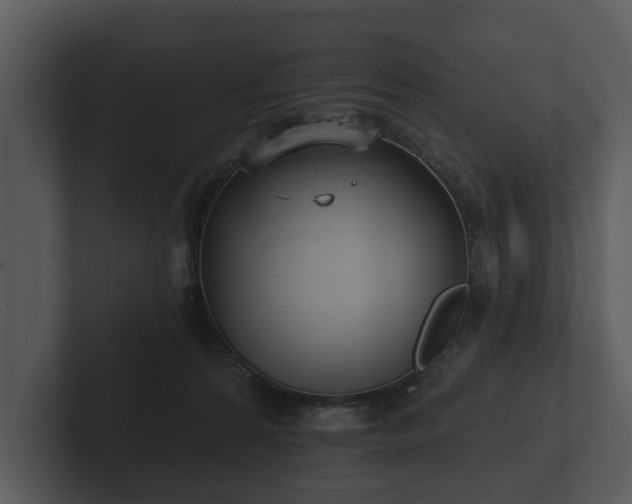 X0000103150224200808291436