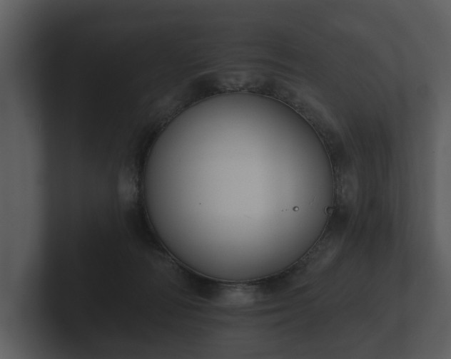 X0000103150226200808291436