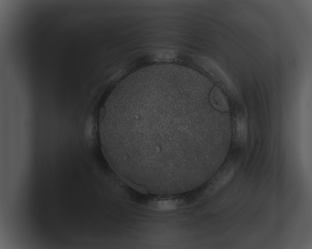 X0000103150228200808291436