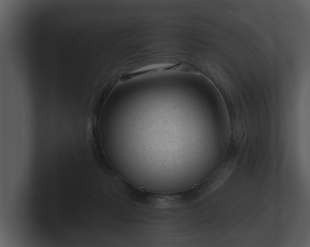 X0000103150229200808291436