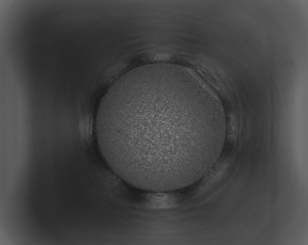 X0000103150230200808291436