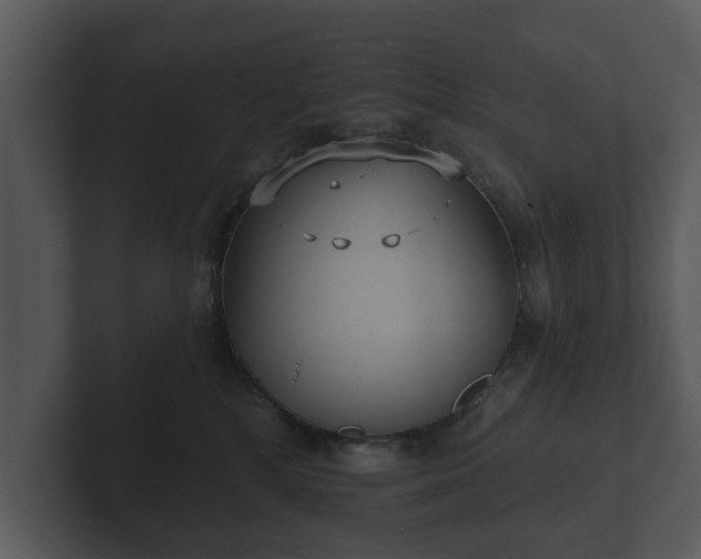 X0000103150232200808291436