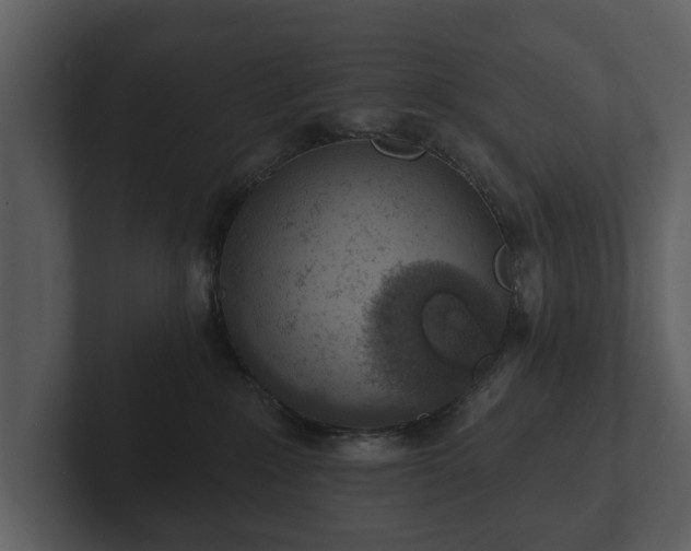 X0000103150235200808291436