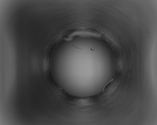 X0000103150236200808291436