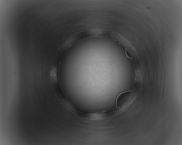 X0000103150238200808291436