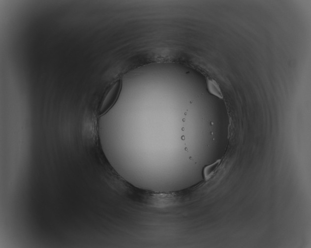 X0000103150240200808291436