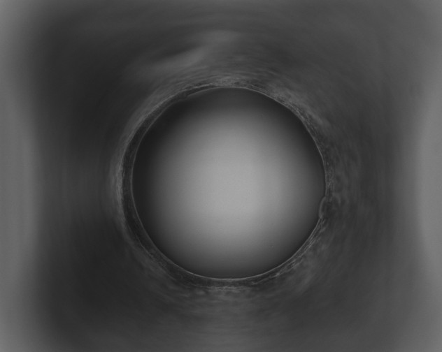 X0000103150242200808291435