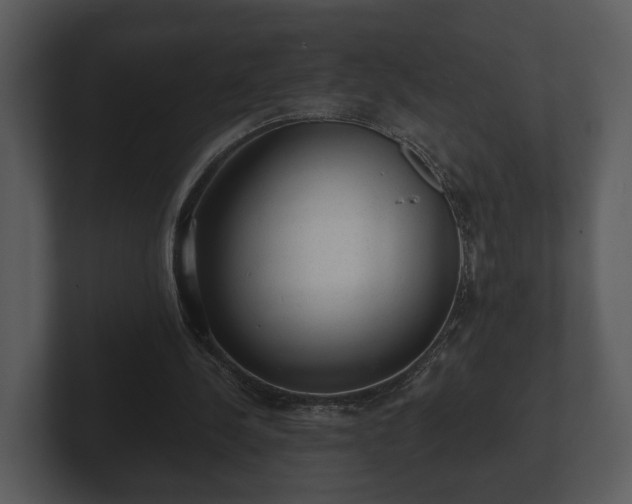 X0000103150244200808291435