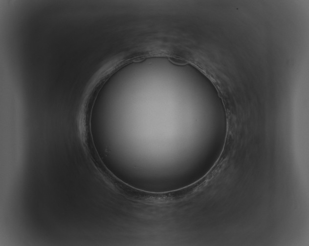 X0000103150245200808291435