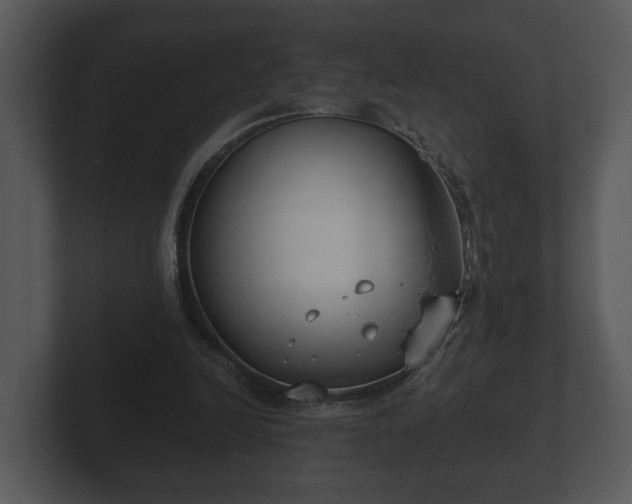 X0000103150246200808291435