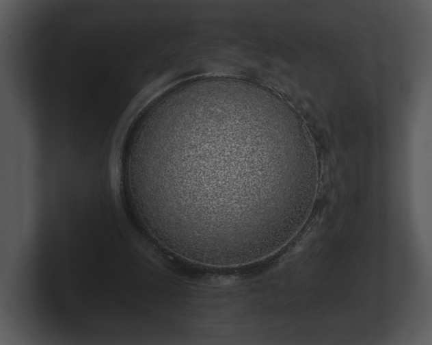 X0000103150247200808291435