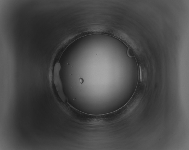 X0000103150252200808291435