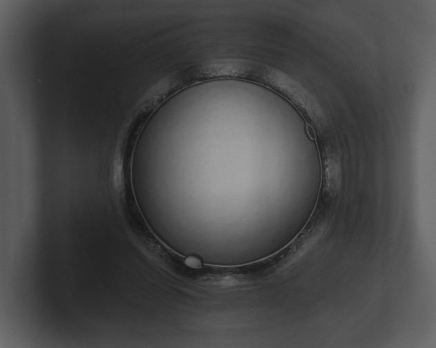 X0000103150254200808291435