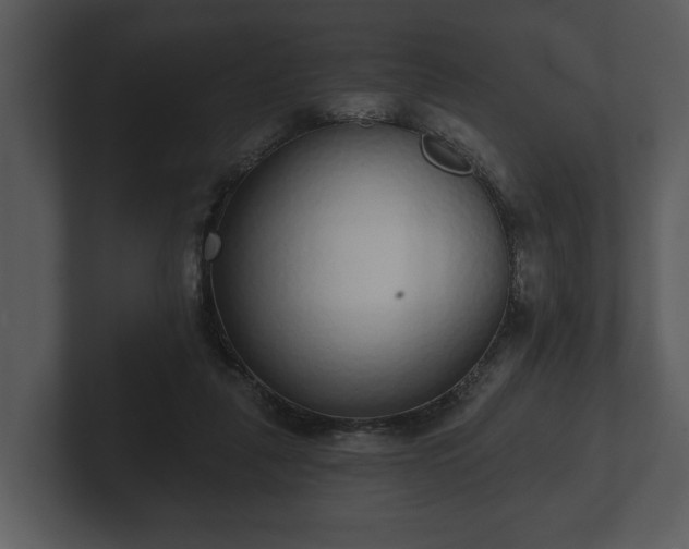 X0000103150259200808291436