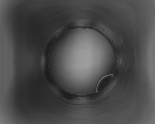 X0000103150260200808291436