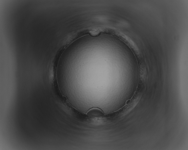 X0000103150261200808291436