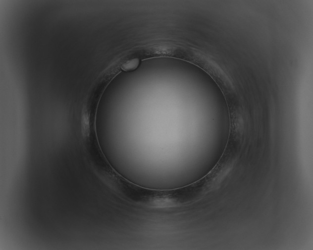 X0000103150262200808291436