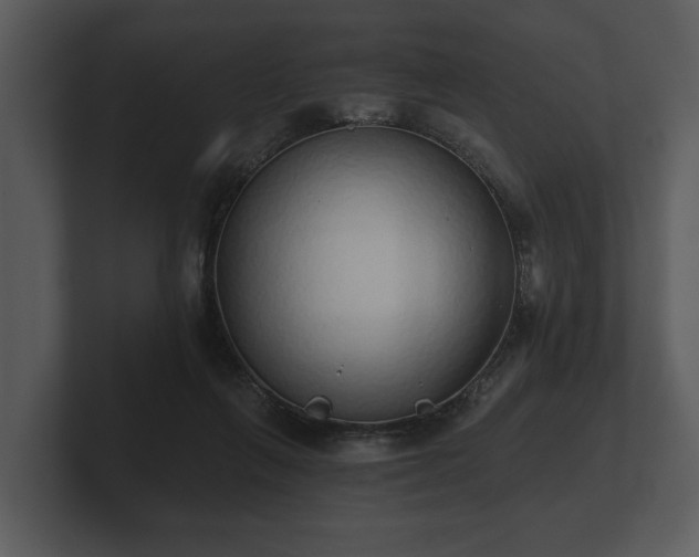 X0000103150263200808291436