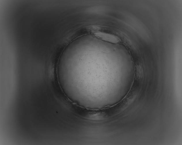 X0000103150267200808291436