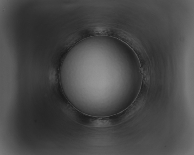 X0000103150270200808291436