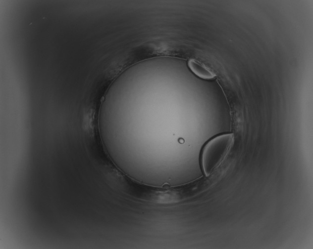 X0000103150275200808291436