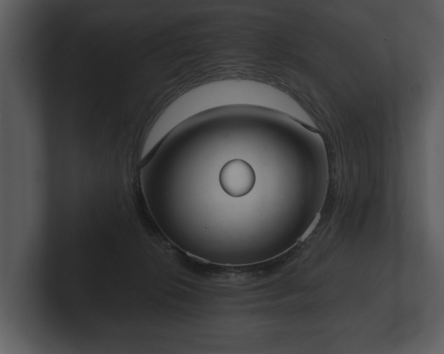 X0000103150276200808291436