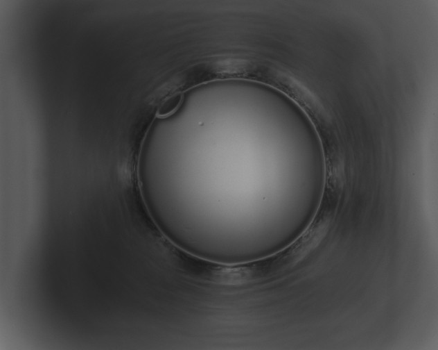 X0000103150277200808291436