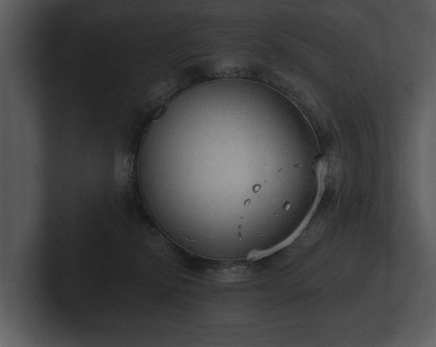 X0000103150278200808291436